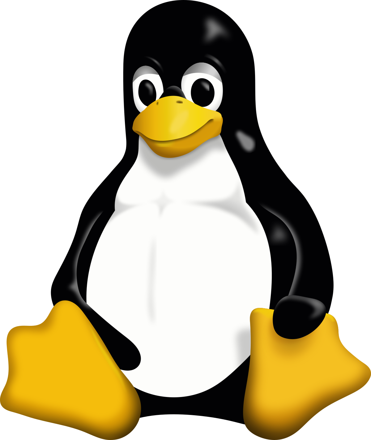Rakesh Palle | Software Developer